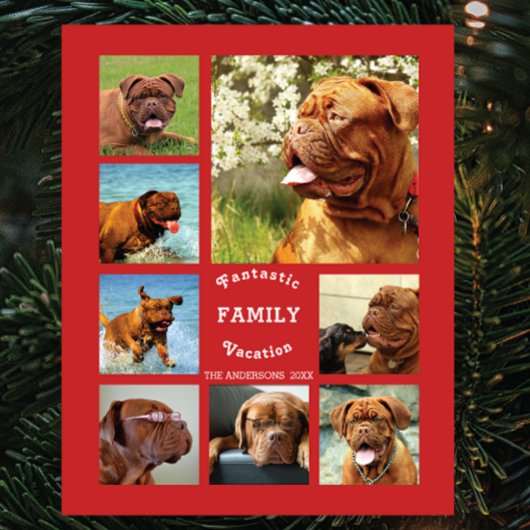 8 Foto der Bildfamilie ✨ benutzerdefinierte Erinne Fotoplatte