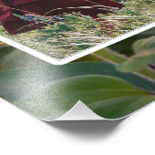 8 Foto "Großeltern machen das Leben groß" (Ecke)