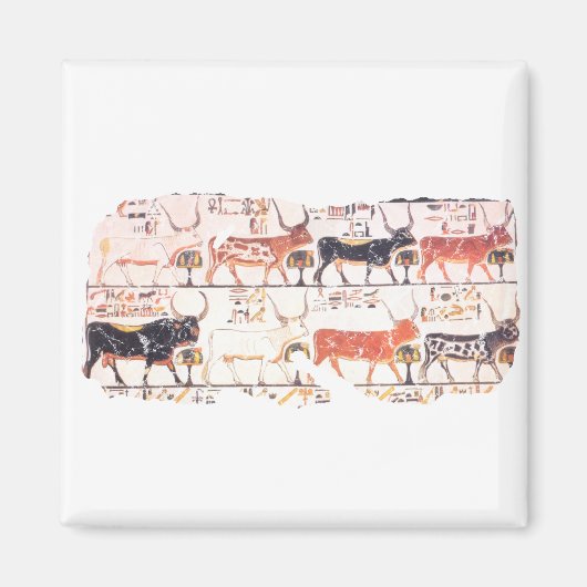 8 Kühe Magnet (Vorne)