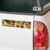 8 Mile Golden Retriever Autoaufkleber (Auf Lkw)