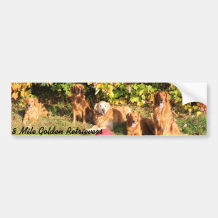 8 Mile Golden Retriever Autoaufkleber