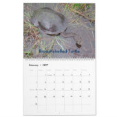 8-monatiger australischer kalender (Feb 2027)