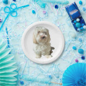 8 Papierplatte Weiß Havanese Pappteller (Party)