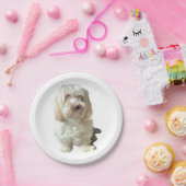 8 Papierplatte Weiß Havanese Pappteller (Party)