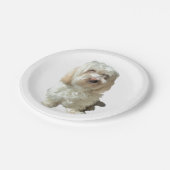 8 Papierplatte Weiß Havanese Pappteller (Schrägansicht)
