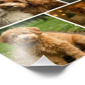 8 Photo Custom Personalized Template Collage Fotodruck (Ecke)