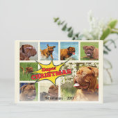 8 Picture Family Foto ✨ Weihnachten (Stehend Vorderseite)