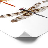 8 Poster für Libellen (Ecke)