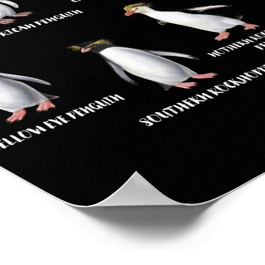 8 Rarest Pinguine of the World Funny Animals Poster (Ecke)
