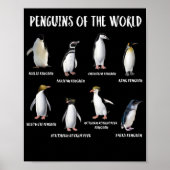 8 Rarest Pinguine of the World Funny Animals Poster (Vorne)