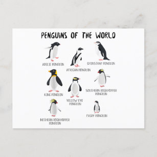 8 Rarest Pinguins of the World - Funny Animals Ankündigungspostkarte