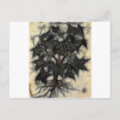 8 - Schattenrebe Postkarte (Vorderseite)