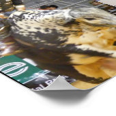 8 Second Junkie Poster (Ecke)