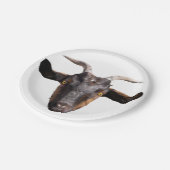 8 Teller, schwarz und Tan-Ziege Pappteller (Schrägansicht)