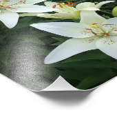 8"x10" weiße Lilien Fotodruck (Ecke)