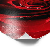 8 x 10 Foto drucken (Ecke)