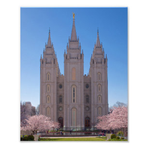 8 x 10 Salt Lake Tempel mit Bäumen in der rosa Fotodruck