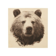 8" x 8" großer Ol Brown Grizzlybär