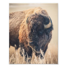 8x10 Druck - Frostiger Morgen