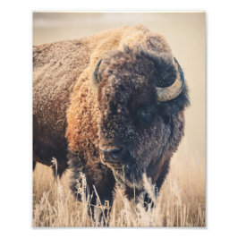 8x10 Druck - Frostiger Morgen