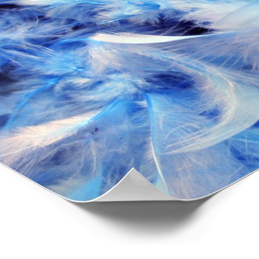 8x10 Fluffy Feathers Poster (Ecke)