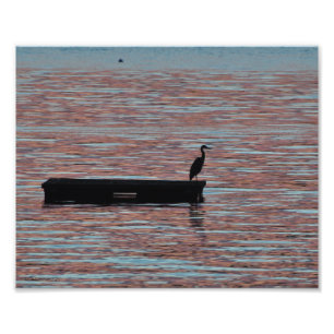 8X10 Great Blue Heron Silouhette Fotodruck
