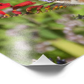 8X10 Hummingbird Lovers Delight Fotodruck (Ecke)