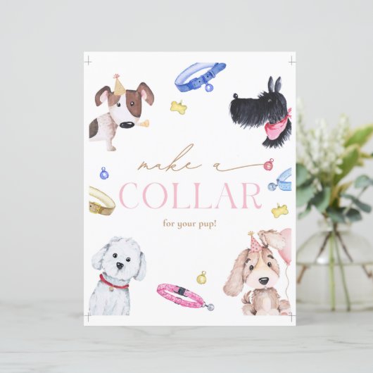 8x10 Hundehalsband signieren (Stehend Vorderseite)