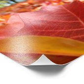 8x10 Kunstdrucke Naturfotografie-Herbstlaube Fotodruck (Ecke)