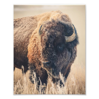 8x10 Print - Frosty Morning Fotodruck