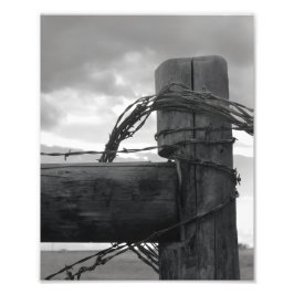 8x10 Print - Wood & the Wire Fotodruck