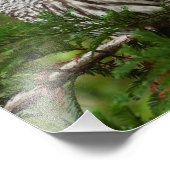 8X10 Schale Fotodruck (Ecke)