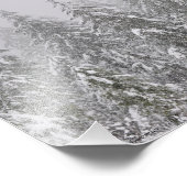 8X10 Schneefall auf Bäumen Fotodruck (Ecke)