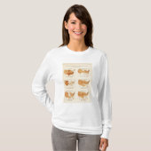 91 Anteile in Berufe 1900 T-Shirt (Vorne ganz)