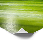 9206-Grüne Blätter Fotodruck (Ecke)