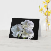 9515-Weiße Nelken Karte (Gelbe Blume)