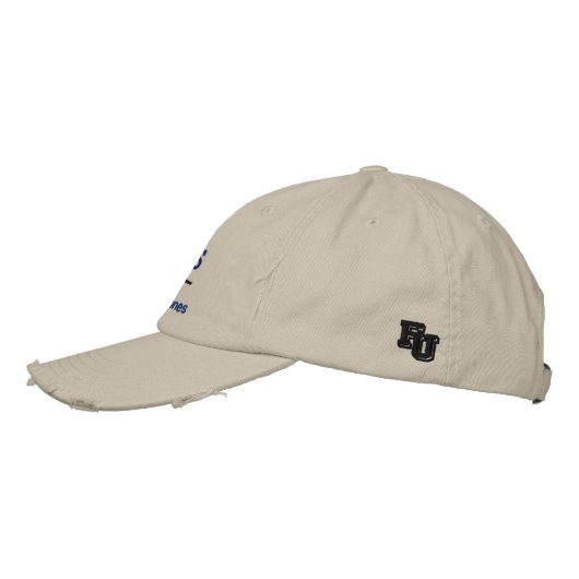 95FS F-15 Golf Hat Bestickte Baseballkappe (Links)