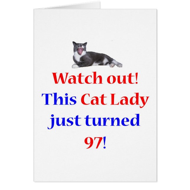 97 Katze Lady (Vorne)