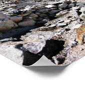 99 oder 87 Rückkopplungen auf Mt Whitney 2 Poster (Ecke)