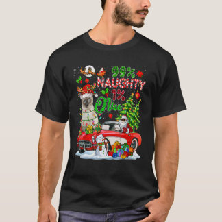 99% Schönheit 1 Schöne Rentierkatze mit Santa T-Shirt