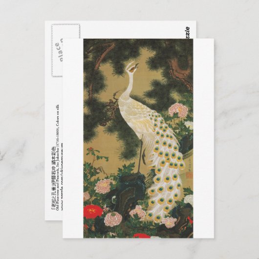 9. 老松孔雀図, 若冲 alte Kiefer und Pfau, Jakuchu Postkarte (Vorne/Hinten)