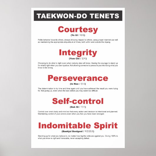 9-2 Generisches Taekwon-Do-Tenets-Poster Poster (Vorne)