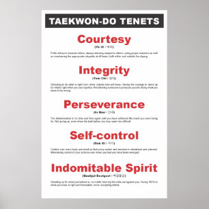 9-2 generisches Taekwondo-Lehren-Plakat Poster