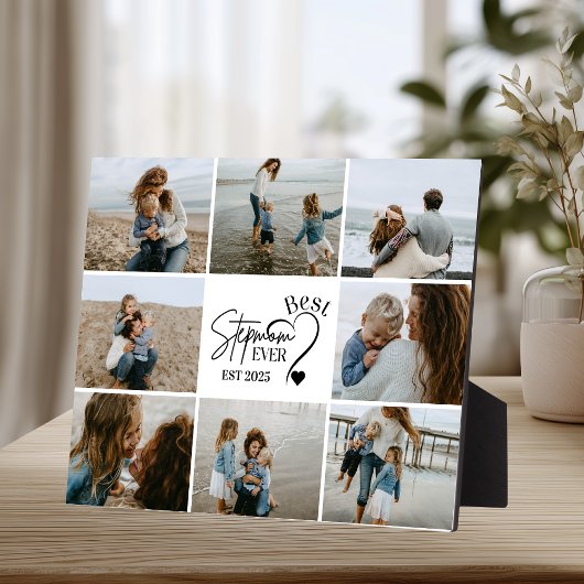 9 Beste Stiefmutter überhaupt Benutzerdefinierte F Fotoplatte