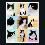 9 Foto Moderner Katzenkatze Poster<br><div class="desc">Ein modernes,  individuelles 9 Foto Collage Poster,  das für Sie bereit ist,  Ihre Lieblings-Fotos Ihrer Katze oder Ihres Hundes hochzuladen. Schönes gerahmt oder ungerahmt. Original art ©Marisu Valencia</div>