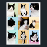 9 Foto Moderner Katzenkatze Poster<br><div class="desc">Ein modernes,  individuelles 9 Foto Collage Poster,  das für Sie bereit ist,  Ihre Lieblings-Fotos Ihrer Katze oder Ihres Hundes hochzuladen. Schönes gerahmt oder ungerahmt. Original art ©Marisu Valencia</div>