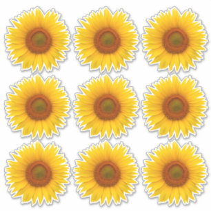 9 Gelb Orange Sonnenblume Blumen Kiss-Cut Aufklebe Aufkleber