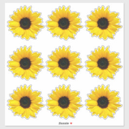 9 Gelbe Sonnenblume Blume Kiss-Cut Stickers Aufkleber