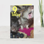 9 heute Baby Ratten Geburtstag Grußkarte Karte (Vorderseite)