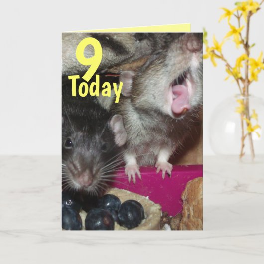 9 heute Baby Ratten Geburtstag Grußkarte Karte (Gelbe Blume)